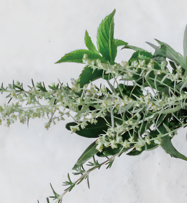 スノーホワイトUVベース