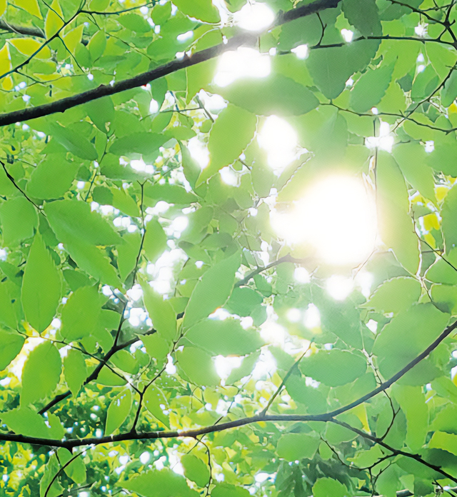 UVルースパウダー